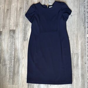 Calvin Klein Blue Sheath Dress Crew Neck Short Sleeve